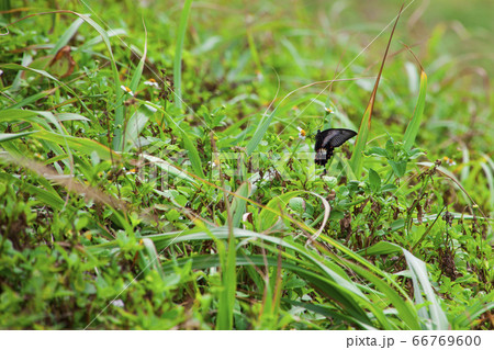石垣御神崎灯台14 66769600
