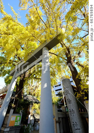 波除稲荷神社 66769894
