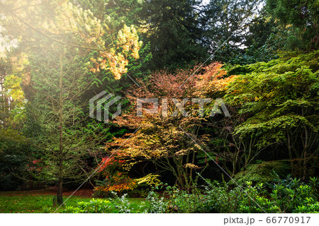 Beautiful English Public Garden during Fall Beautiful English Public Garden during Fall 66770917