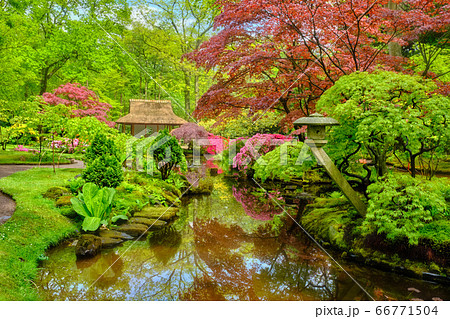 Japanese garden, Park Clingendael, The Hague, Netherlands 66771504