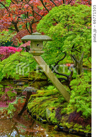 Japanese garden, Park Clingendael, The Hague, Netherlands 66771505