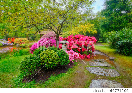 Japanese garden, Park Clingendael, The Hague, Netherlands 66771506