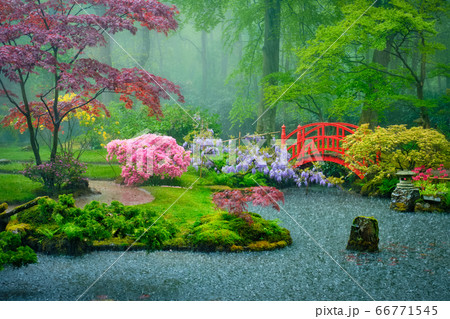 Japanese garden, Park Clingendael, The Hague, Netherlands Japanese garden, Park Clingendael, The Hague, Netherlands 66771545