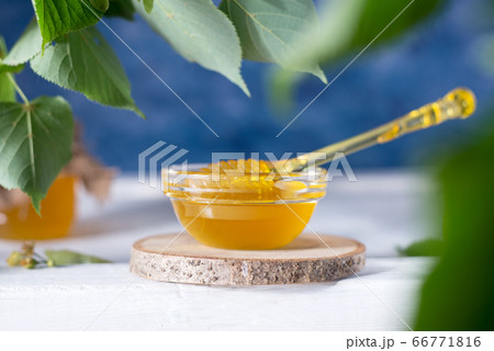 Linden Honey in Jar and bowl with a honey dipper on a white wooden background. Defocused branch of linden in the foreground. Linden Honey in Jar and bowl with a honey dipper on a white wooden background. Defocused branch of linden in the foreground. 66771816