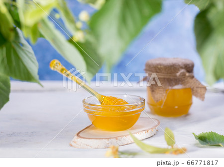 Linden Honey in Jar and bowl with a honey dipper on a white wooden background. Defocused branch of linden in the foreground. 66771817