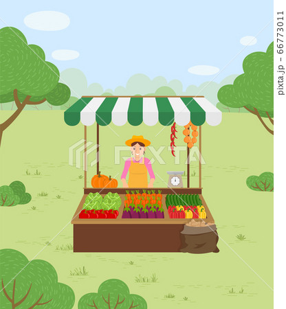 Farmer Sells Vegetables in Autumn Harvest Time 66773011