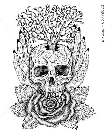 Black and white wiccan emblem with skull, human hands, rose flower and tree. Esoteric, occult and gothic illustration with symbols of death, Halloween mystic background, engraved outline drawing Black and white wiccan emblem with skull, human hands, rose flower and tree. Esoteric, occult and gothic illustration with symbols of death, Halloween mystic background, engraved outline drawing 66773023