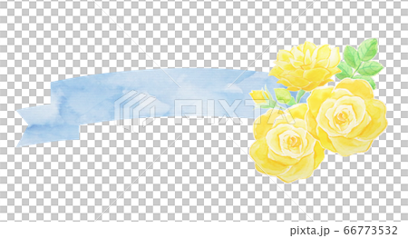 Roses and ribbons 66773532