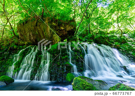 初夏の元滝伏流水と元滝川の流れ　秋田県にかほ市 66773767
