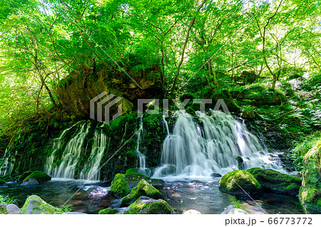 初夏の元滝伏流水と元滝川の流れ　秋田県にかほ市 66773772