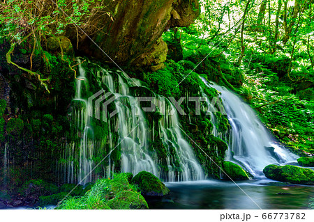 初夏の元滝伏流水と元滝川の流れ　秋田県にかほ市 66773782