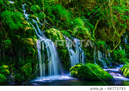 初夏の元滝伏流水と元滝川の流れ　秋田県にかほ市 66773783