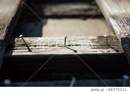 朽ちた木に刺さった釘 朽ちた木に刺さった釘 66775211