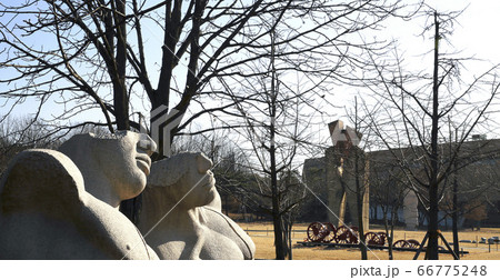 ひときれ きれ 公園 66775248