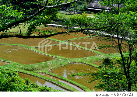 通潤橋周辺の風景　豊かな水に潤う里山 66775723