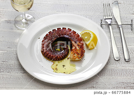 マダコのグリル マダコのグリル 66775884