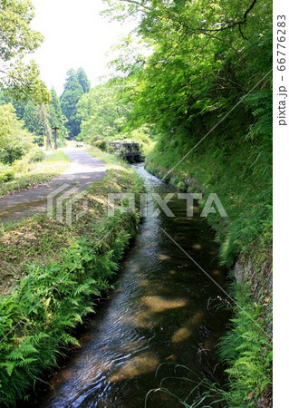 通潤橋周辺の風景 豊かな水に潤う里山 通潤橋周辺の風景 豊かな水に潤う里山 66776283