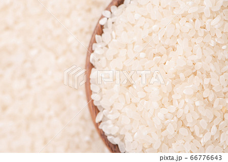 ごはん イネ 米 66776643