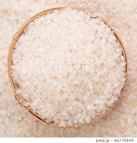 ごはん イネ 米 66776649