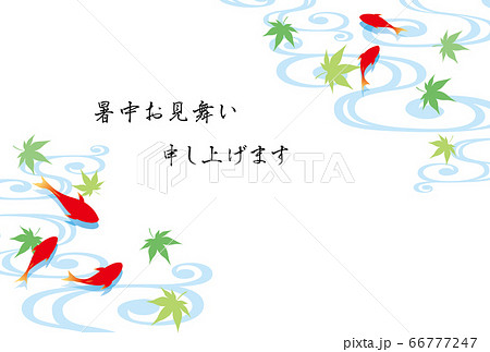 金魚柄の暑中見舞いテンプレート のイラスト素材