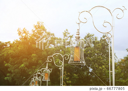 Metal lamp post row in the park with warm light. 66777805