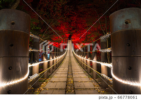 花貫渓谷 汐見滝吊り橋のライトアップ夜景 秋冬 茨城県高萩市 19年11月の写真素材