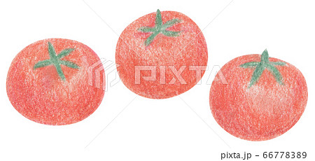 手描き 色鉛筆 ミニトマト トマトのイラスト素材 6677