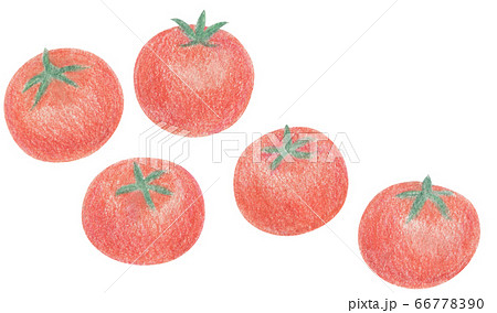 手描き 色鉛筆 ミニトマト トマトのイラスト素材