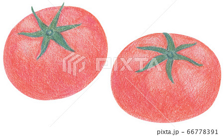 手描き 色鉛筆 トマトのイラスト素材