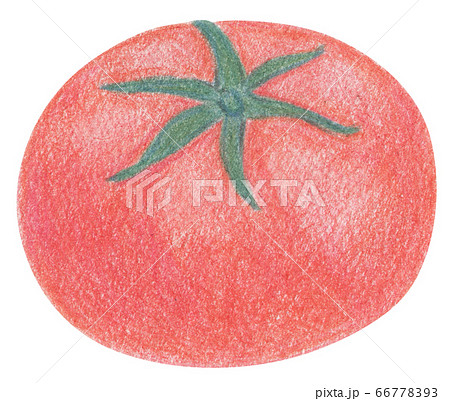 手描き 色鉛筆 トマトのイラスト素材