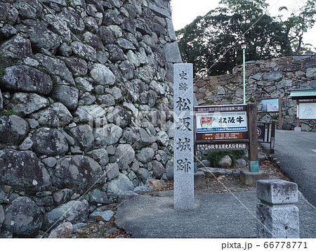 松阪城跡 66778771