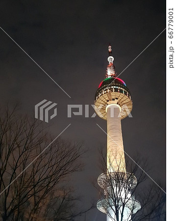 自然 トップ タワー 66779001