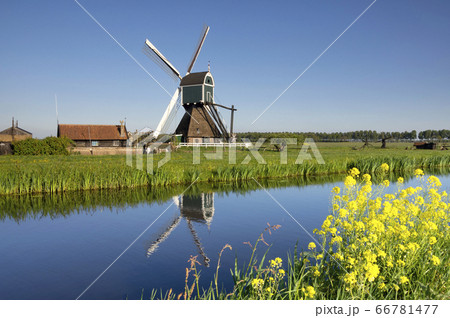 The Wingerdse Molen 66781477