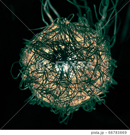 Retro rattan lamp in the shape of a ball 66783669