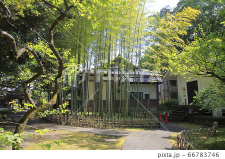 日本最古の学校 足利学校 日本最古の学校 足利学校 66783746