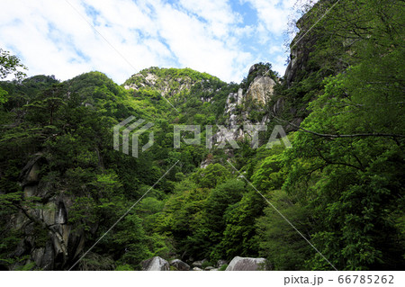 新緑と奇岩怪石の渓谷の昇仙峡の夏 新緑と奇岩怪石の渓谷の昇仙峡の夏 66785262