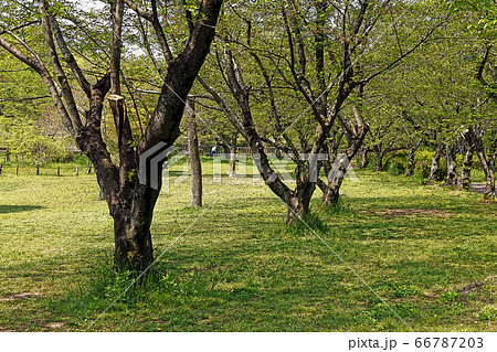 平和公園点景 平和公園点景 66787203