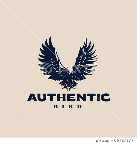 An eagle or hawk 66787277