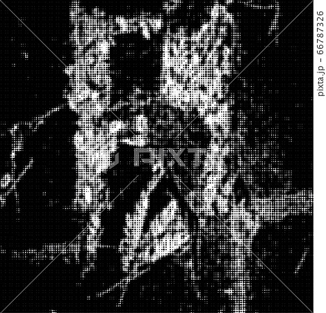 Distressed overlay grunge halftone background. Halftone dots vector texture. Distressed overlay grunge halftone background. Halftone dots vector texture. 66787326
