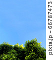 青空　晴天　背景　緑　広い空　空 66787473