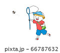 夏の虫取り少年 66787632