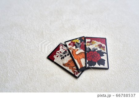 古い花札 66788537