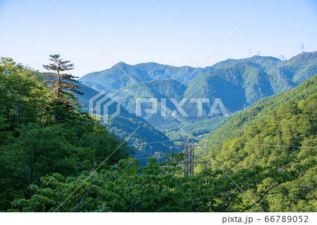 国道17号沿　新緑の景色　三国トンネル手前付近　群馬県 66789052