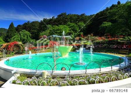 初夏の花巻温泉バラ園 初夏の花巻温泉バラ園 66789148