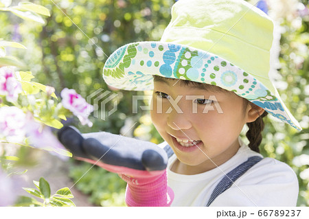 ガーデニングイメージ　花を眺める子供 66789237
