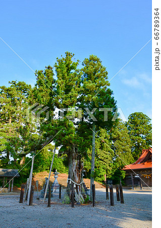 久麻加夫都阿良加志比古神社 七尾市 久麻加夫都阿良加志比古神社 七尾市 66789364