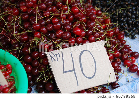 オシュバザール　ビシュケク/キルギス 66789569