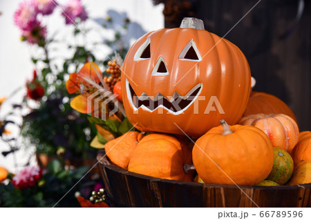 ハロウィーンかぼちゃアップ 66789596