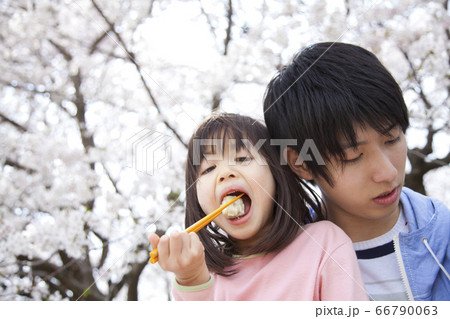 花見をする親子 花見をする親子 66790063