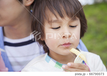 お弁当を食べる男の子 お弁当を食べる男の子 66790073